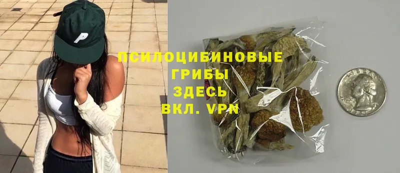 кракен вход  Палласовка  Галлюциногенные грибы MAGIC MUSHROOMS  наркота 